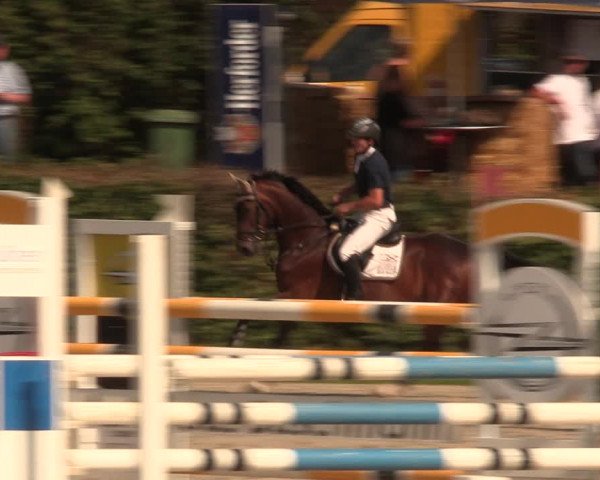 Reitturnier Vlotho-Exter 2018