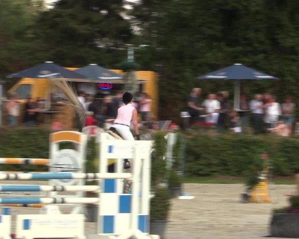 Reitturnier Vlotho-Exter 2018