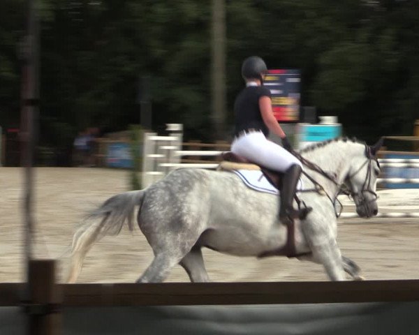 Reitturnier Vlotho-Exter 2018