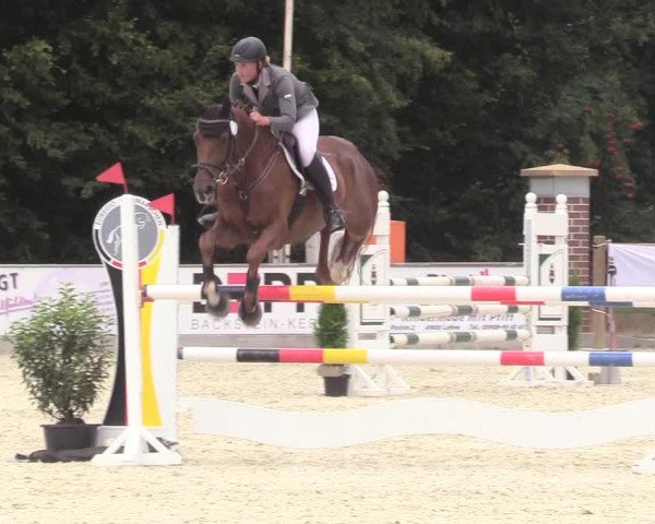 Reitturnier Wietmarschen 2018