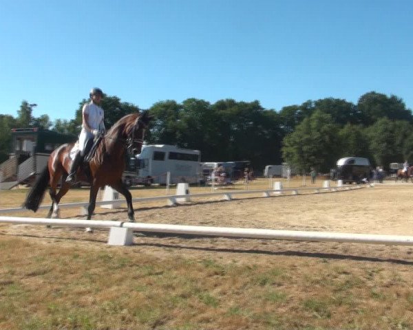 Reitturnier Wietmarschen 2018