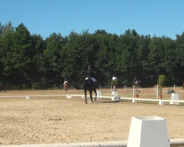 Reitturnier Wietmarschen 2018