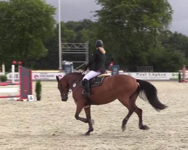 Reitturnier Wietmarschen 2018