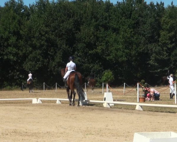 Reitturnier Wietmarschen 2018
