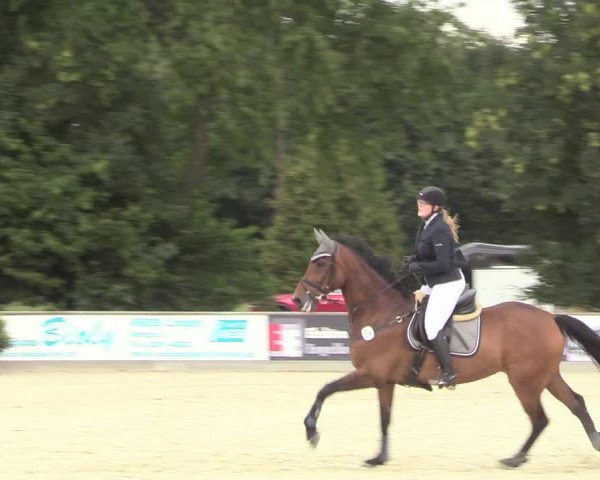 Reitturnier Wietmarschen 2018