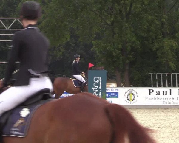 Reitturnier Wietmarschen 2018