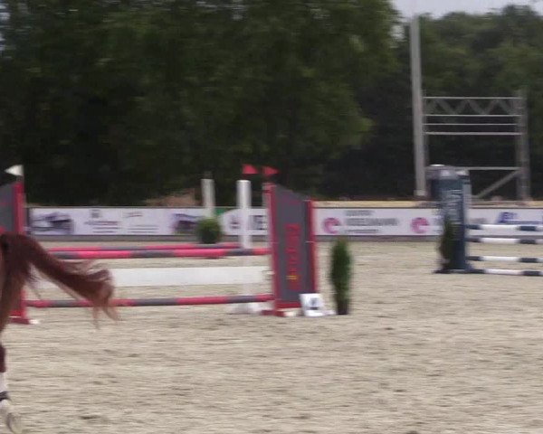 Reitturnier Wietmarschen 2018