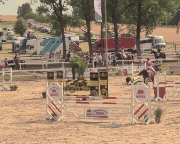 Reitturnier Letmathe 2018