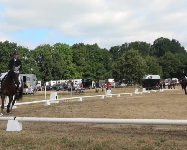 Reitturnier Wietmarschen 2018