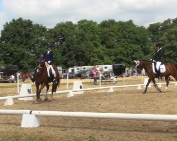 Reitturnier Wietmarschen 2018