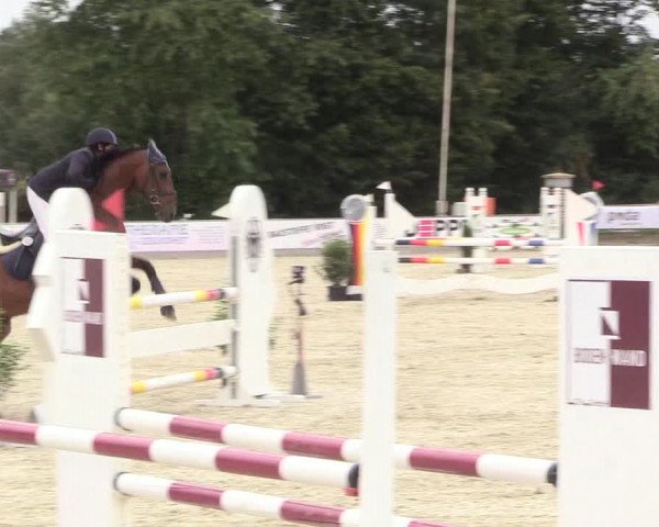 Reitturnier Wietmarschen 2018