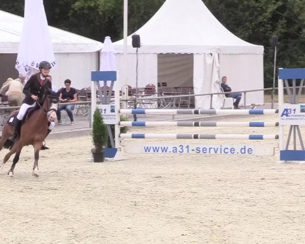 Reitturnier Wietmarschen 2018