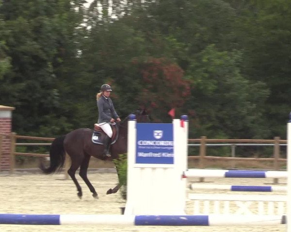 Reitturnier Wietmarschen 2018