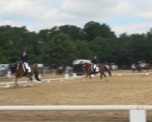 Reitturnier Wietmarschen 2018