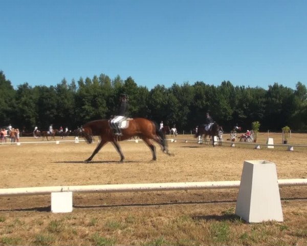Reitturnier Wietmarschen 2018