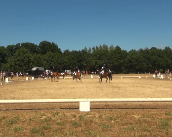 Reitturnier Wietmarschen 2018