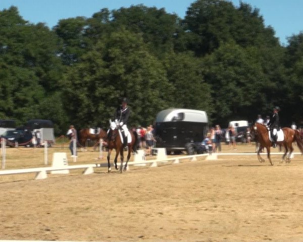 Reitturnier Wietmarschen 2018