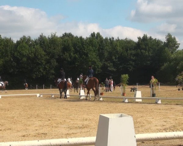 Reitturnier Wietmarschen 2018