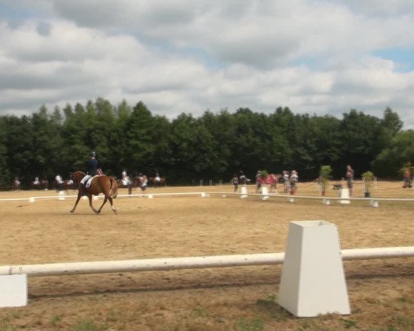 Reitturnier Wietmarschen 2018