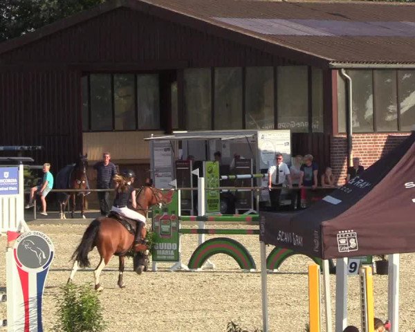 Reitturnier Wietmarschen 2018
