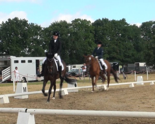 Reitturnier Wietmarschen 2018