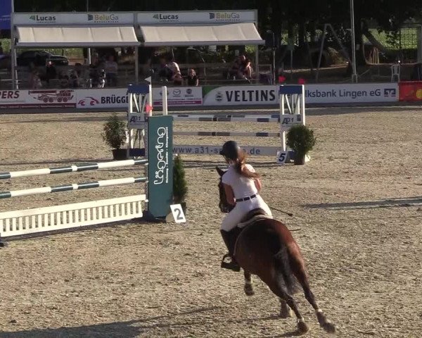 Reitturnier Wietmarschen 2018