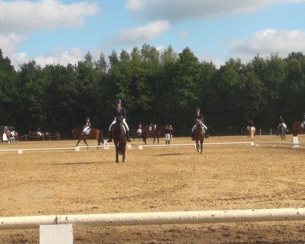 Reitturnier Wietmarschen 2018