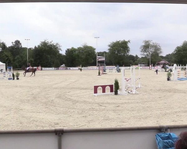 Reitturnier Wietmarschen 2018