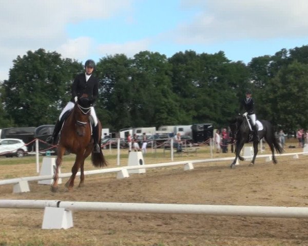 Reitturnier Wietmarschen 2018