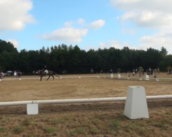 Reitturnier Wietmarschen 2018