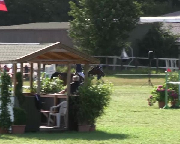 Reitturnier Hanerau-Hademarschen 2018