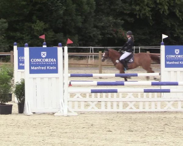 Reitturnier Wietmarschen 2018