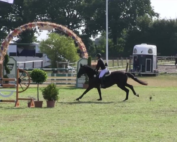 Reitturnier Hanerau-Hademarschen 2018