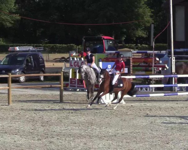Reitturnier Wietmarschen 2018