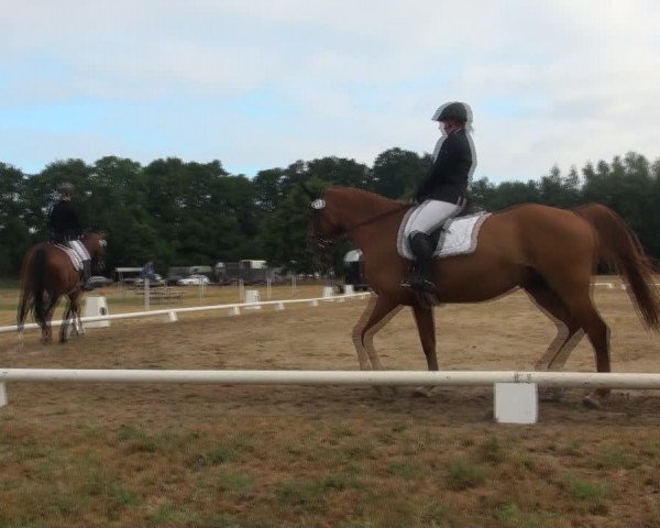 Reitturnier Wietmarschen 2018