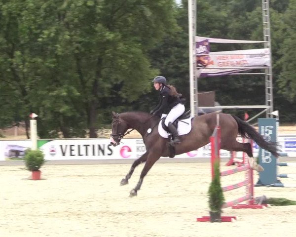 Reitturnier Wietmarschen 2018