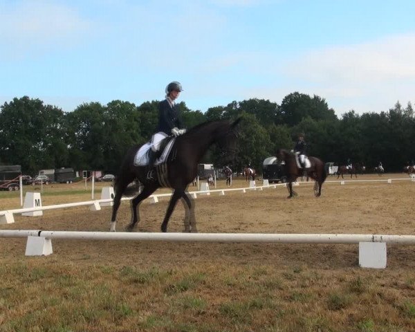 Reitturnier Wietmarschen 2018