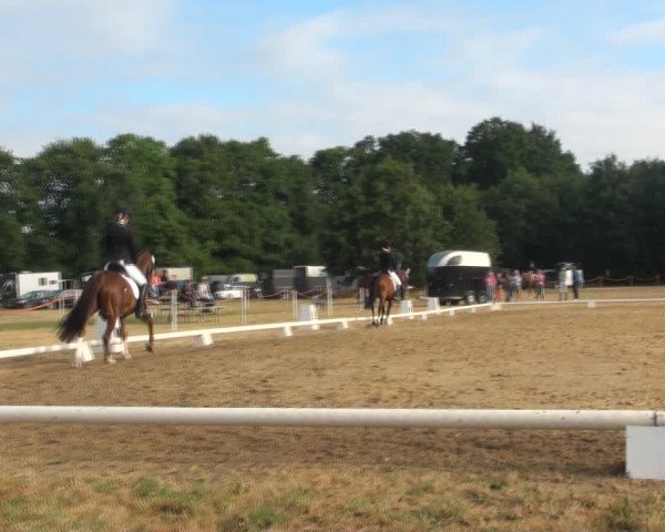 Reitturnier Wietmarschen 2018