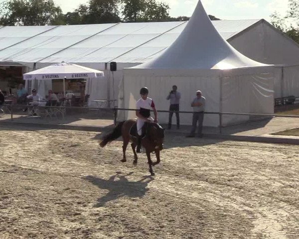 Reitturnier Wietmarschen 2018