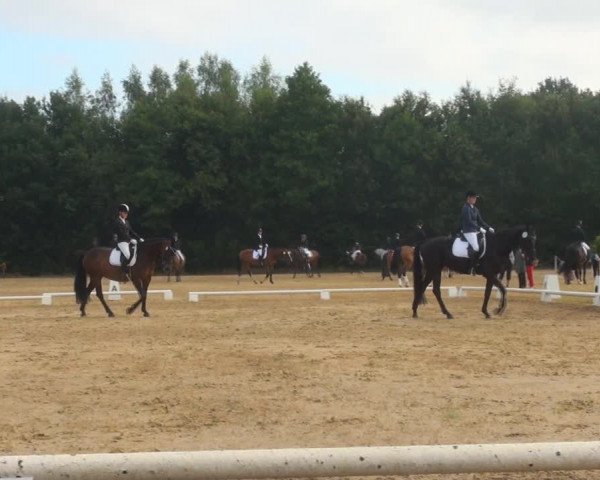 Reitturnier Wietmarschen 2018