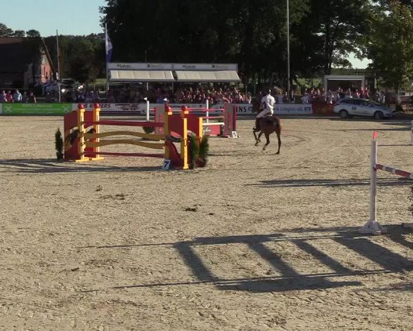 Reitturnier Wietmarschen 2018