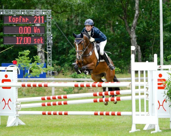 broodmare Charmona Royal (German Riding Pony, 2006, from Charm of Nibelungen)