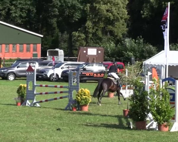 Reitturnier Hanerau-Hademarschen 2018