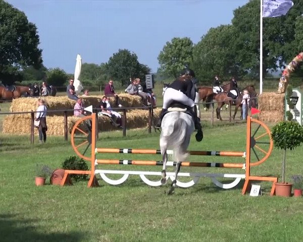 Reitturnier Hanerau-Hademarschen 2018