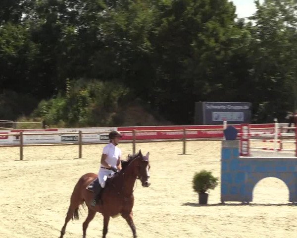 Reitturnier Wietmarschen 2018