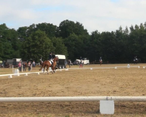 Reitturnier Wietmarschen 2018