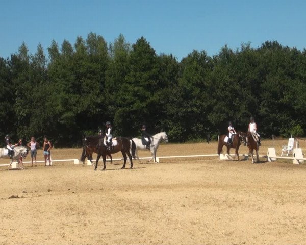 Reitturnier Wietmarschen 2018