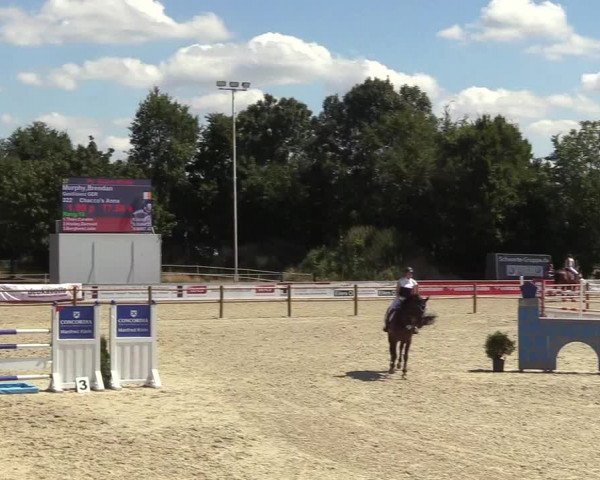 Reitturnier Wietmarschen 2018