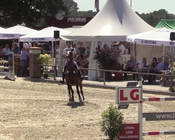 Reitturnier Wietmarschen 2018