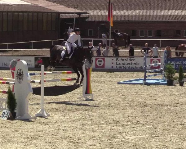 Reitturnier Wietmarschen 2018
